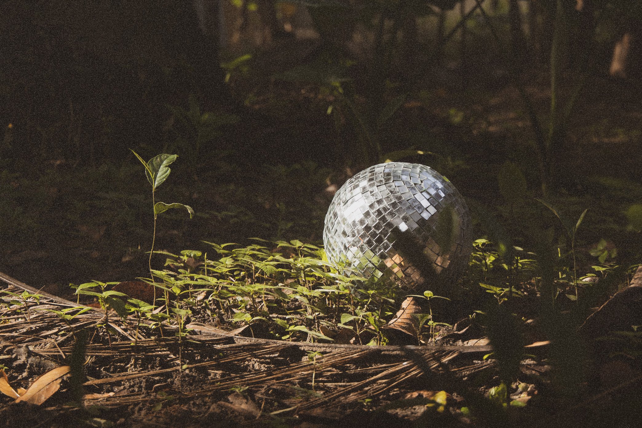 Abandoned Disco Ball Outdoors